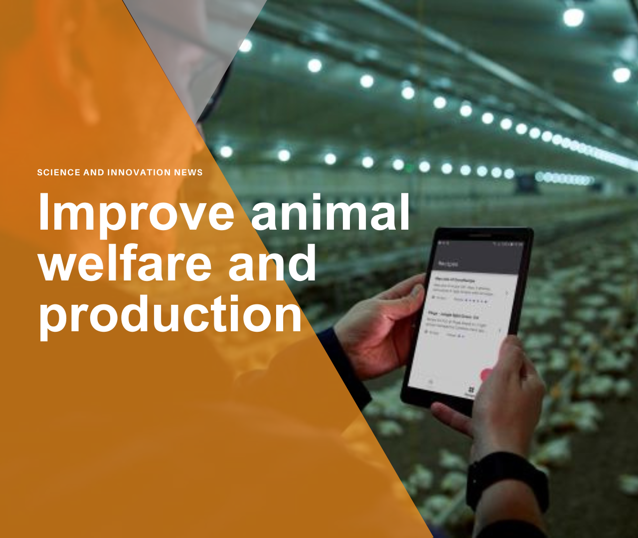 Signify field study finds ONCE Junglite recipe improves animal welfare and production