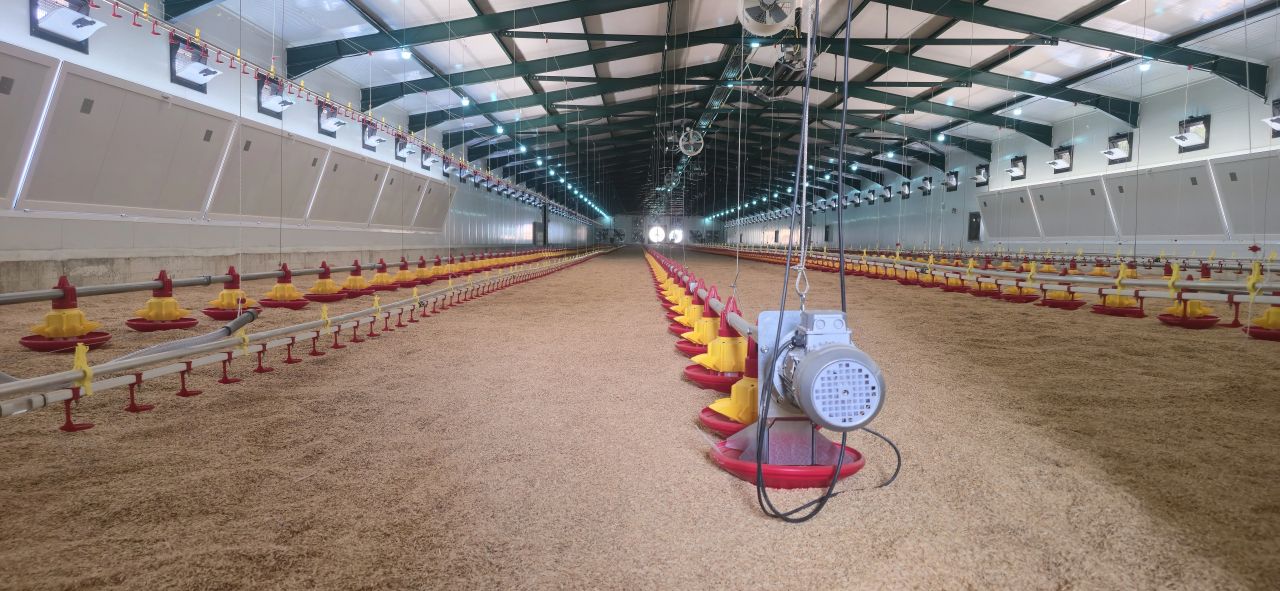 Building the Next Generation of Poultry Production in Greece