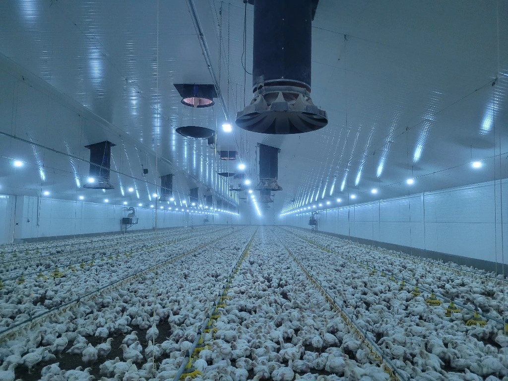 From Poland to Ukraine: A Farm Visit That Showcased Excellence and Opportunity