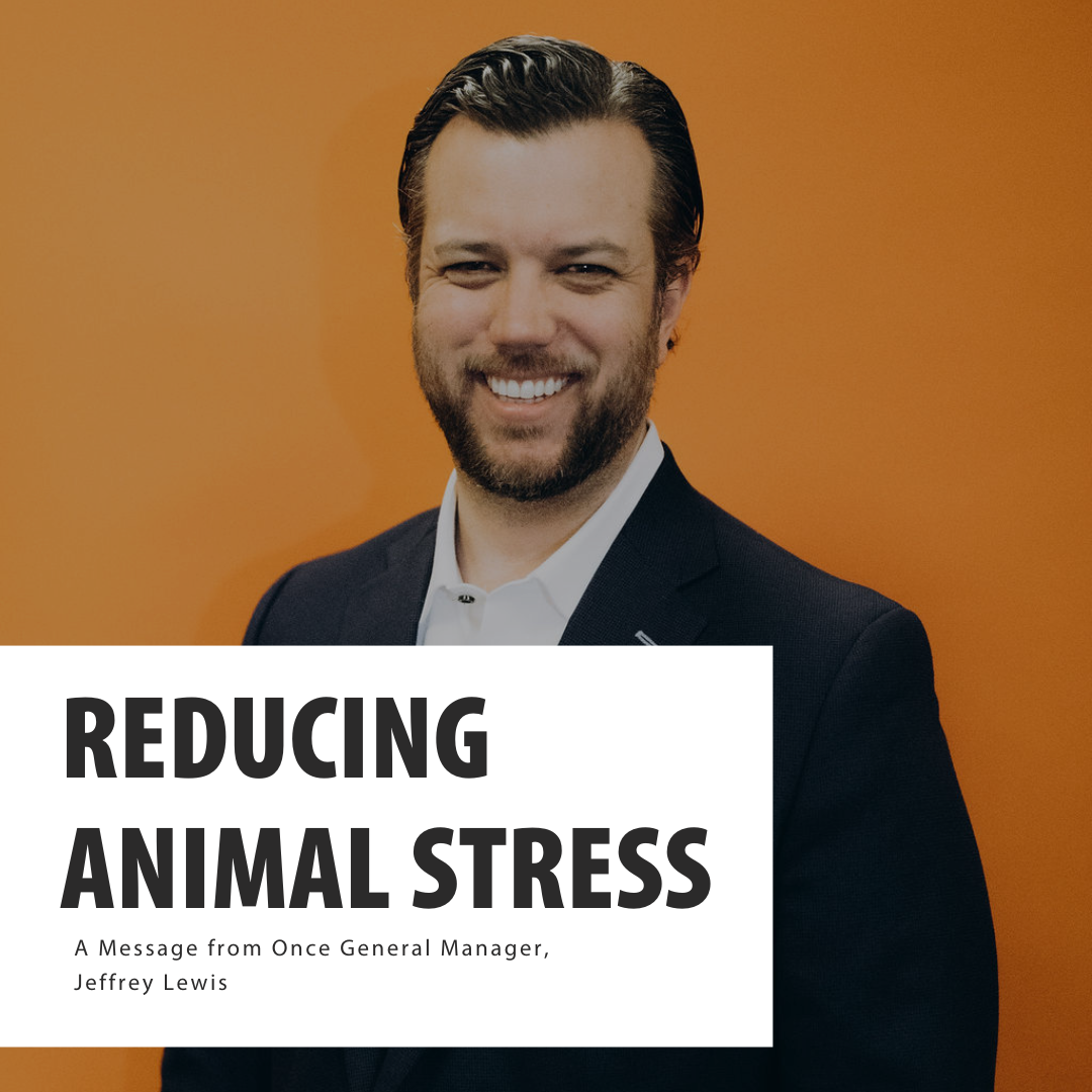 Reducing stress in animals