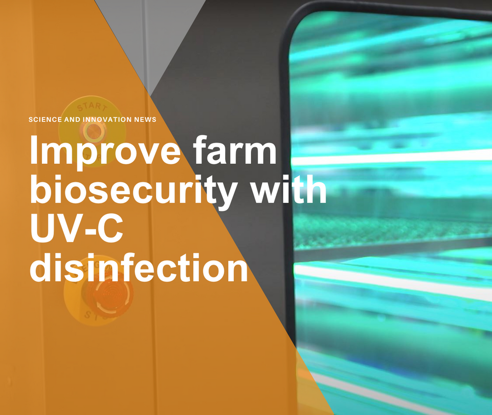 Improve farm biosecurity with UV-C disinfection – Once by Signify ...