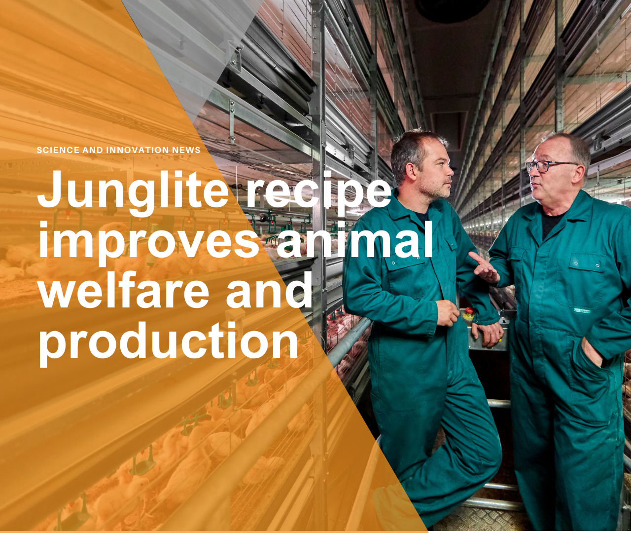 Field study finds Junglite recipe improves animal welfare and production