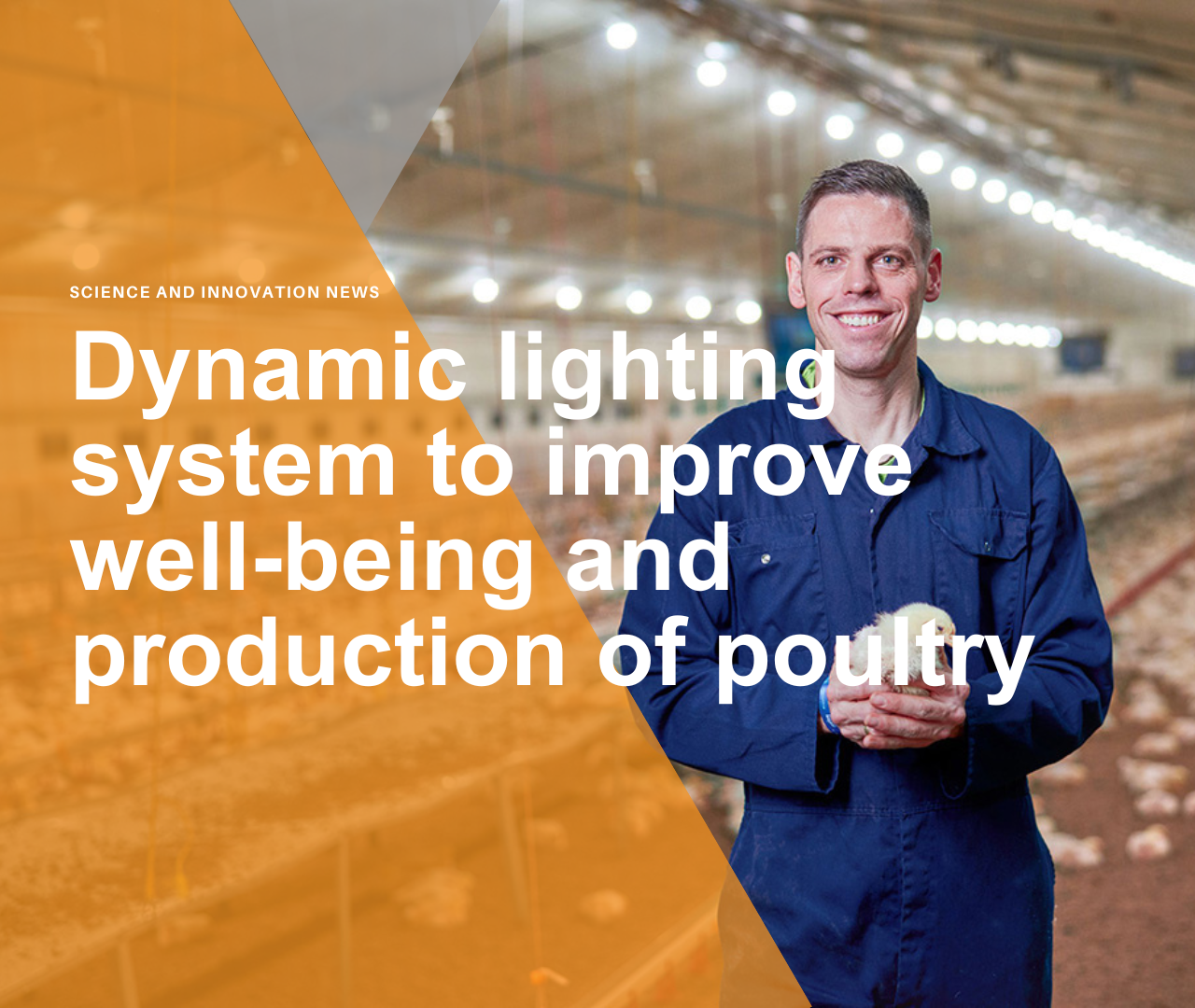 NatureDynamics - first dynamic lighting system to improve well-being and production of poultry