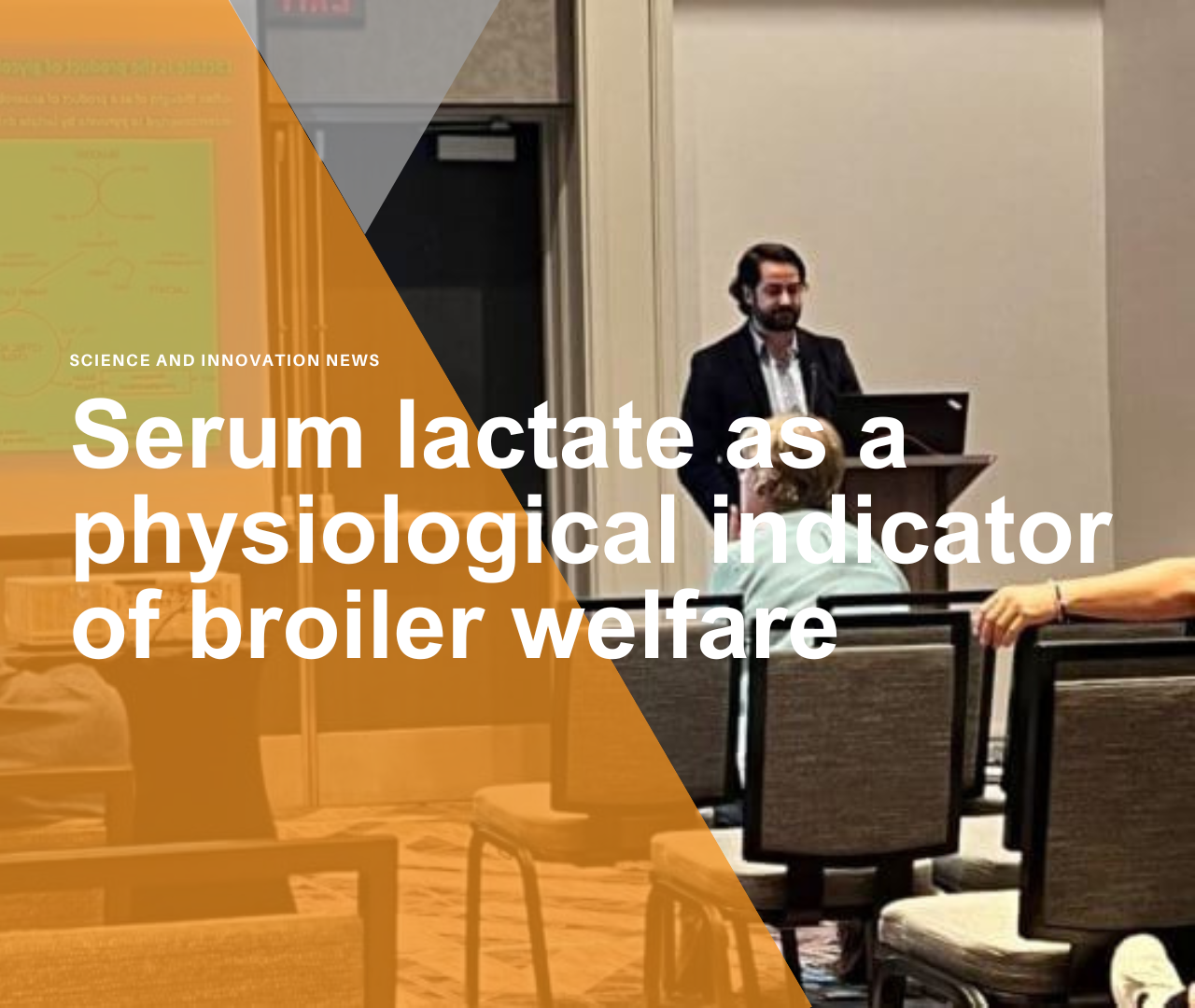 Serum lactate as a physiological indicator of broiler welfare