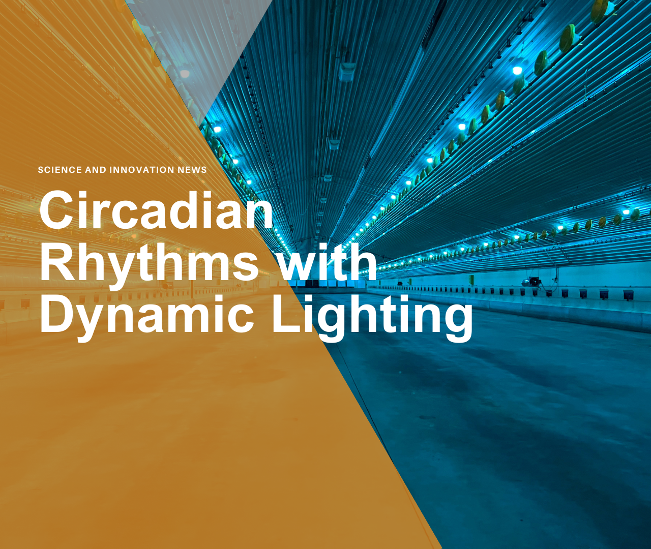 Circadian Rhythms with Dynamic Lighting