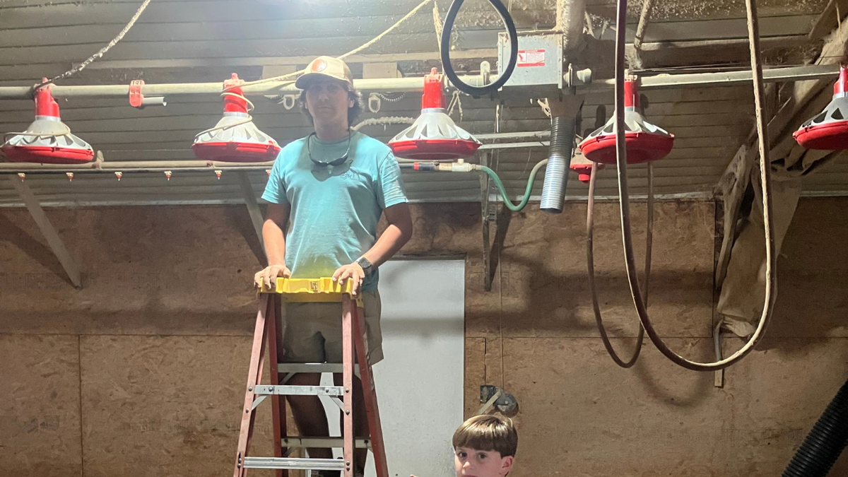 Why One Georgia Poultry Farm Upgraded a Second House with 18W Dimmable Bulbs