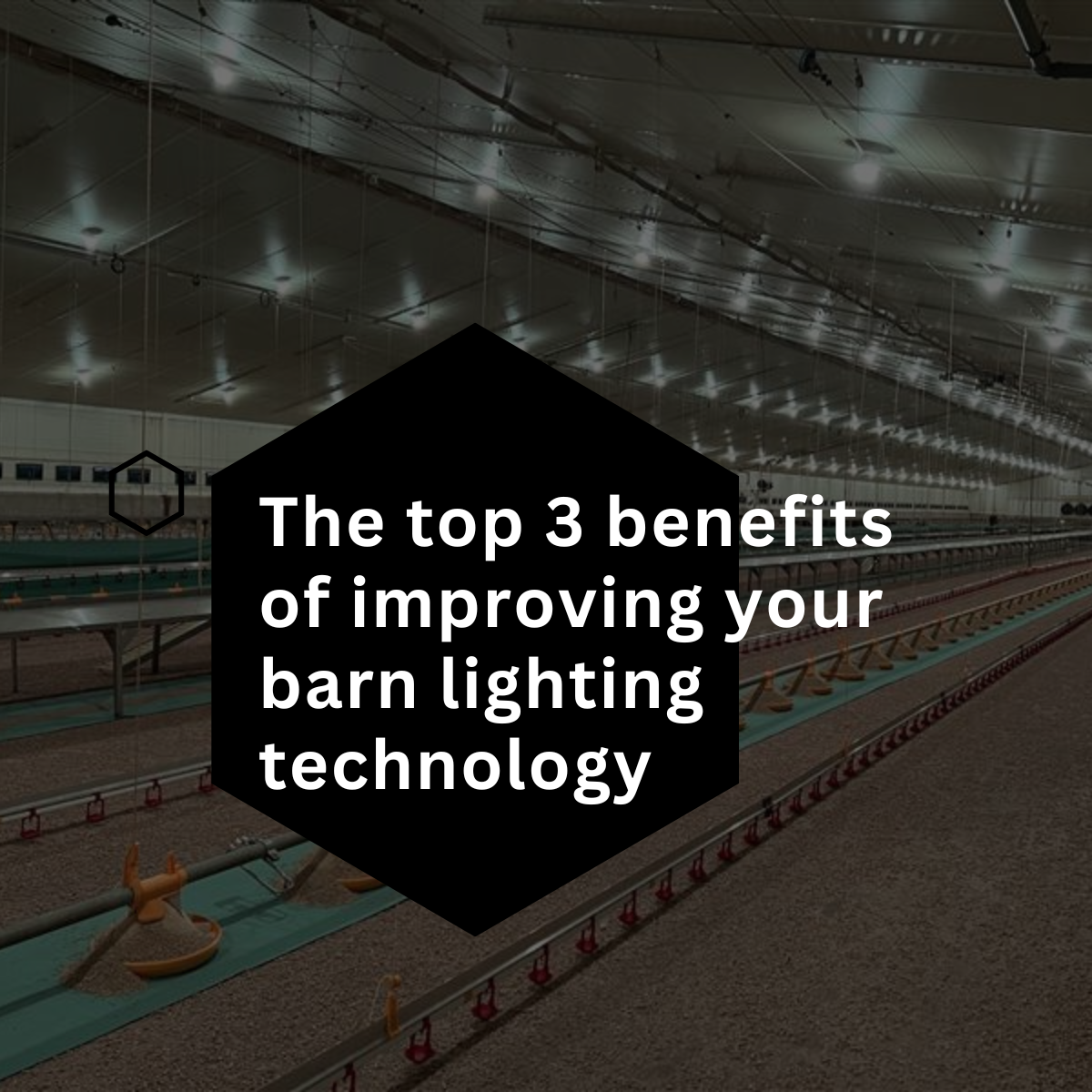 Top 3 Reasons barn managers upgraded their lighting technology