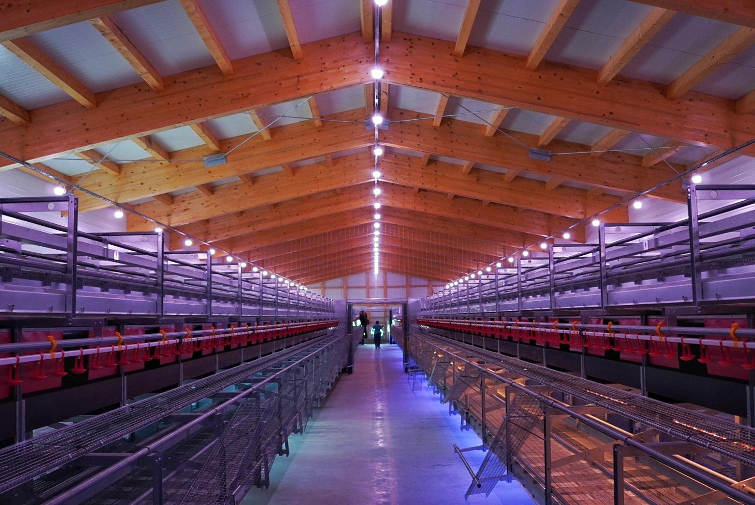 Customer Success Story: Opening the Barn Doors to Innovation