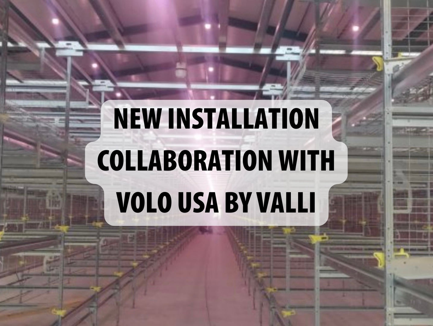 New installation collaboration with Volo USA by Valli