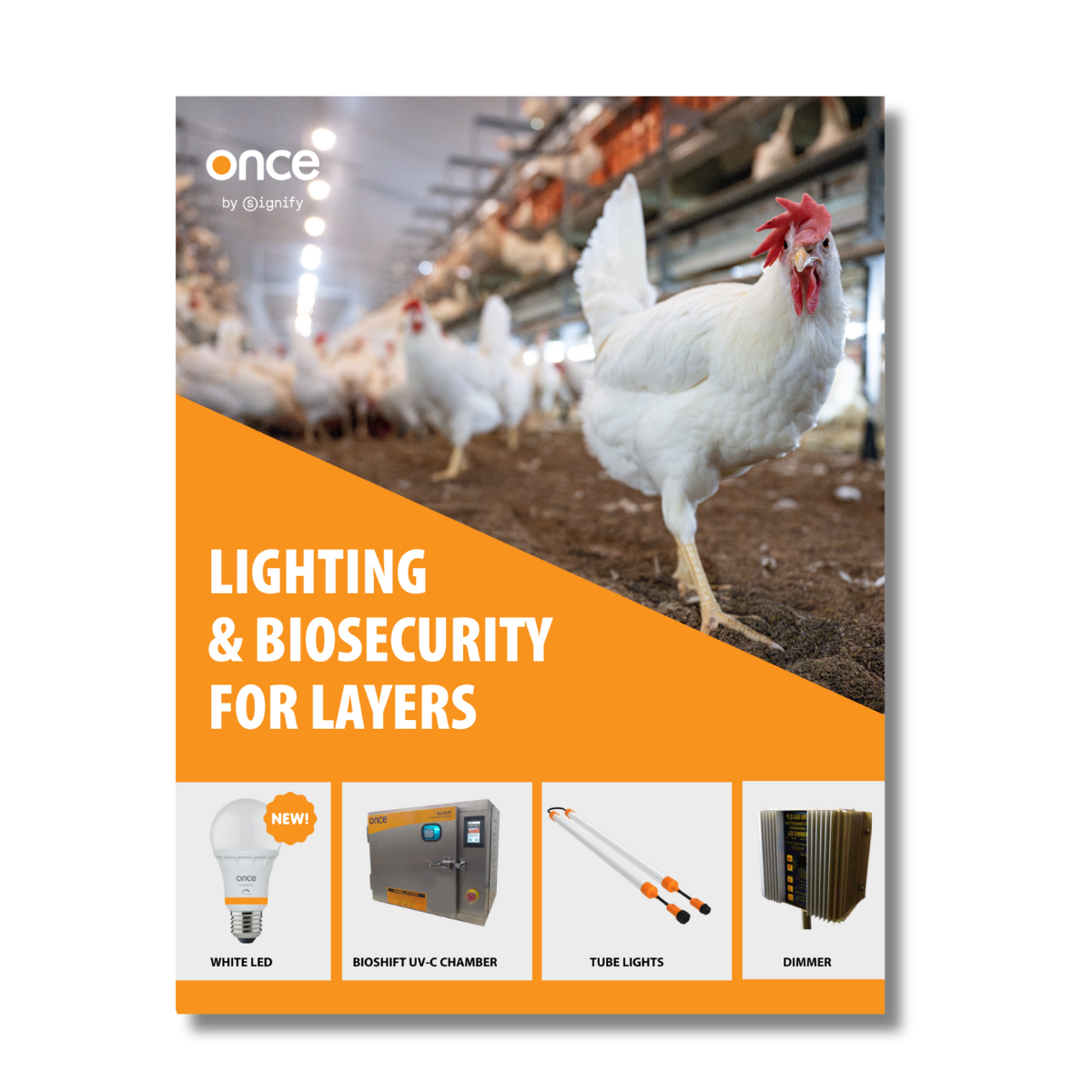 New! A Guide to Layer Lighting