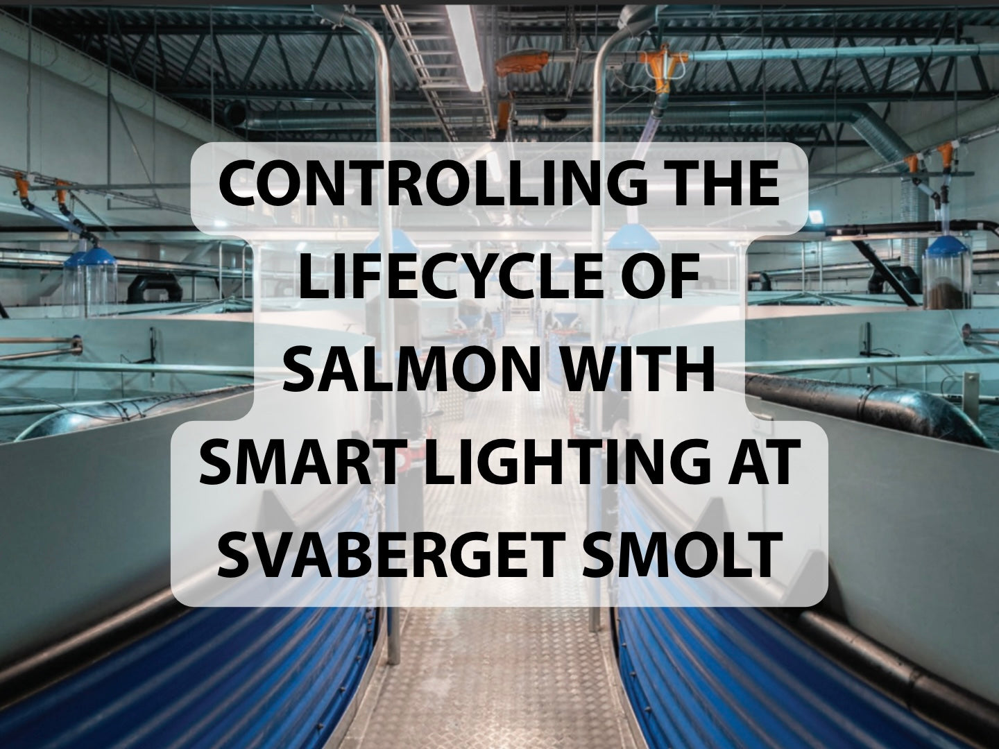 Controlling the Lifecycle of Salmon with Smart Lighting at Svaberget Smolt