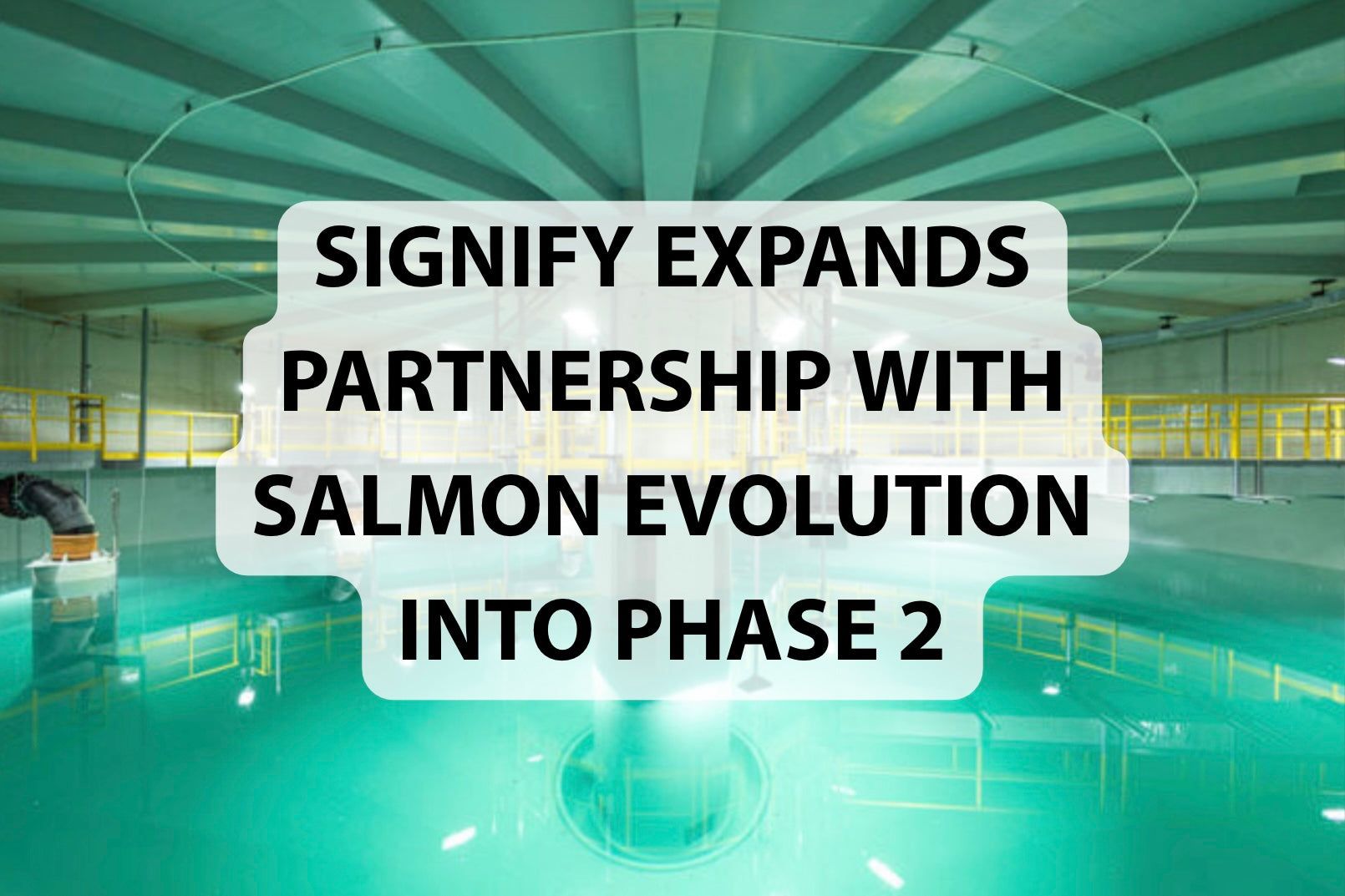 Signify Expands Partnership with Salmon Evolution into Phase 2
