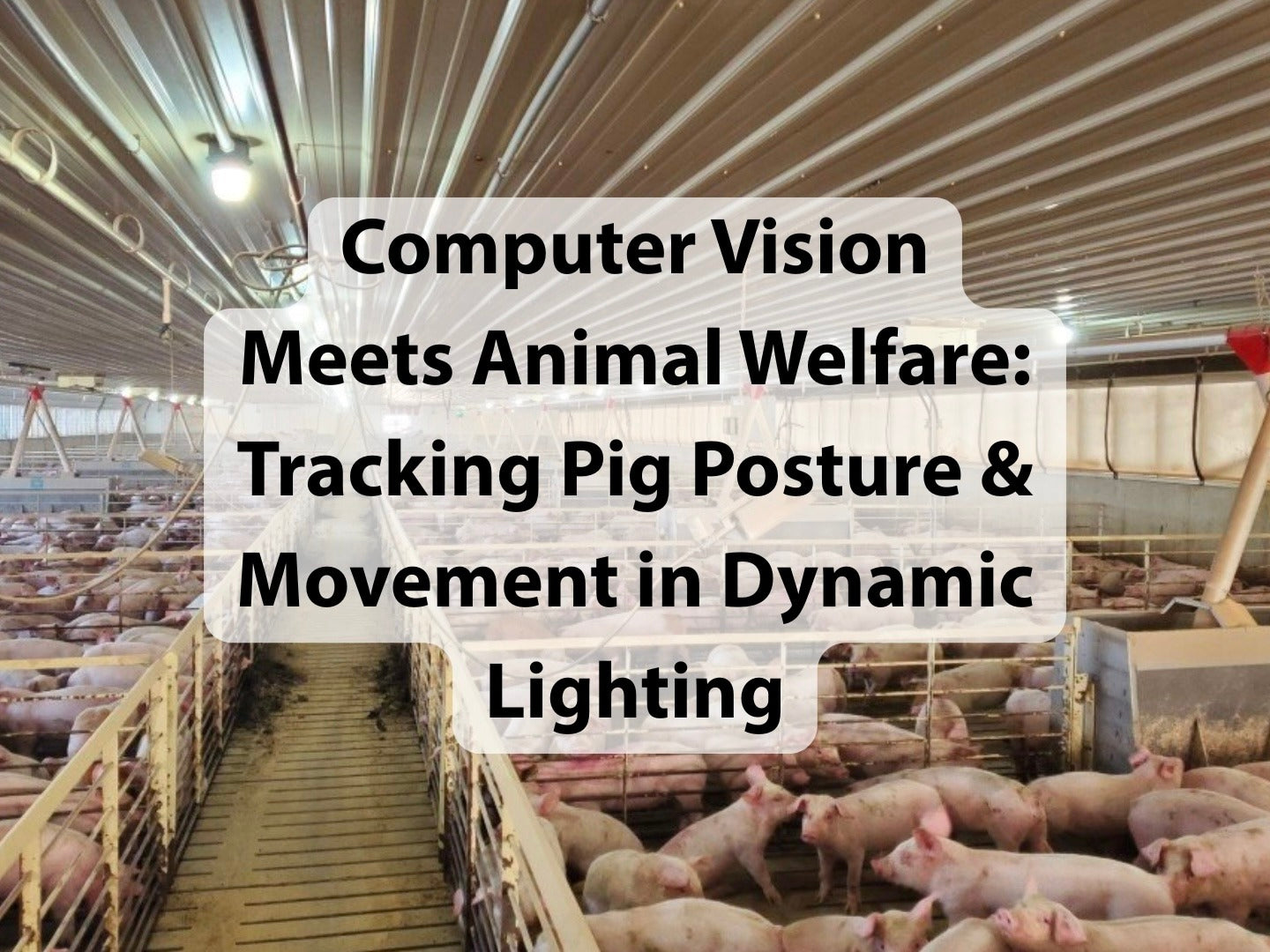 Computer vision Meets Animal Welfare: Tracking Pig Posture and Movement in Dynamic Lighting