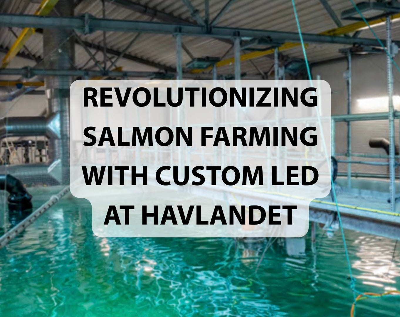 Revolutionizing Salmon Farming with Custom LED Lighting at Havlandet