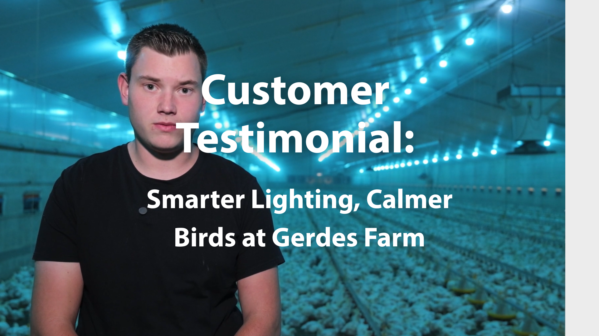 Smarter Lighting, Calmer Birds at Gerdes Farm