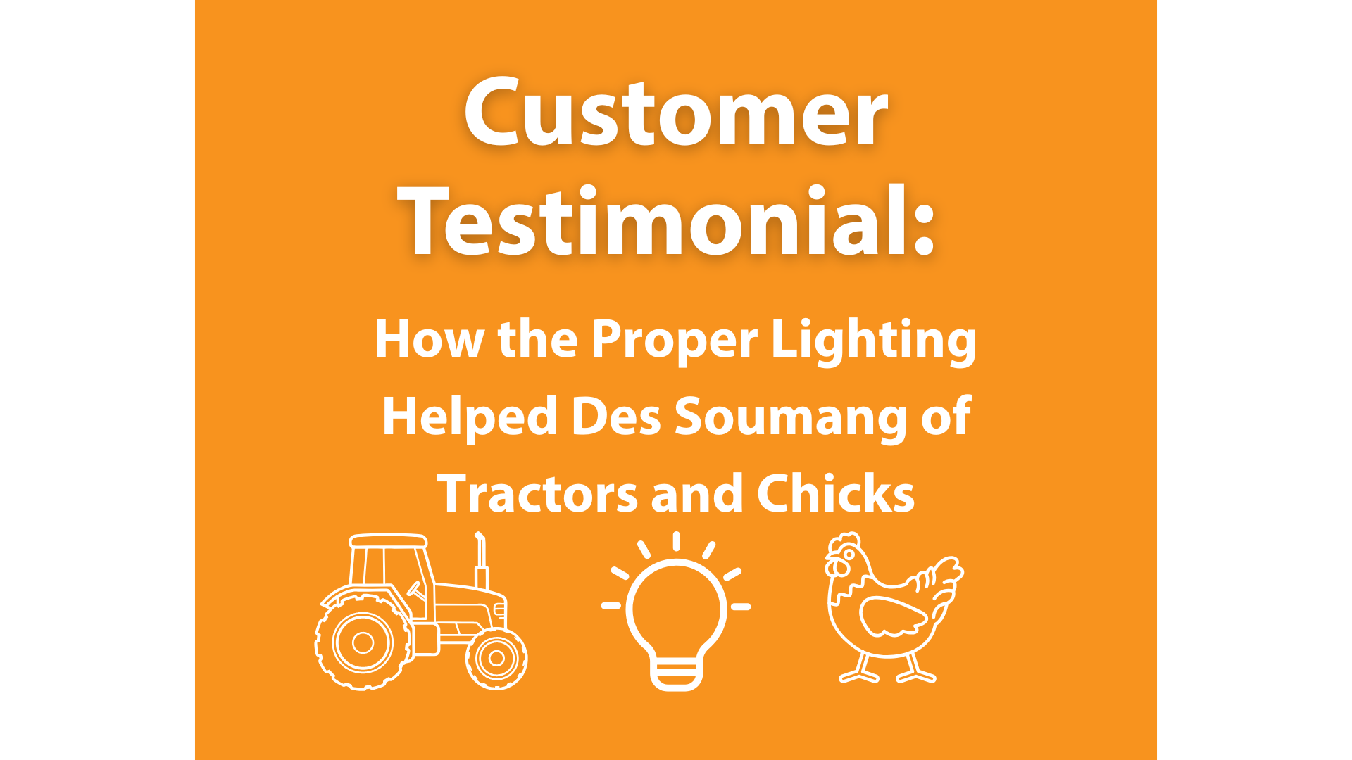 How the Proper Lighting Helped Des Soumang of Tractors & Chicks Achieve Calmer Birds and Do Crucial Repairs Without Walking on Eggshells