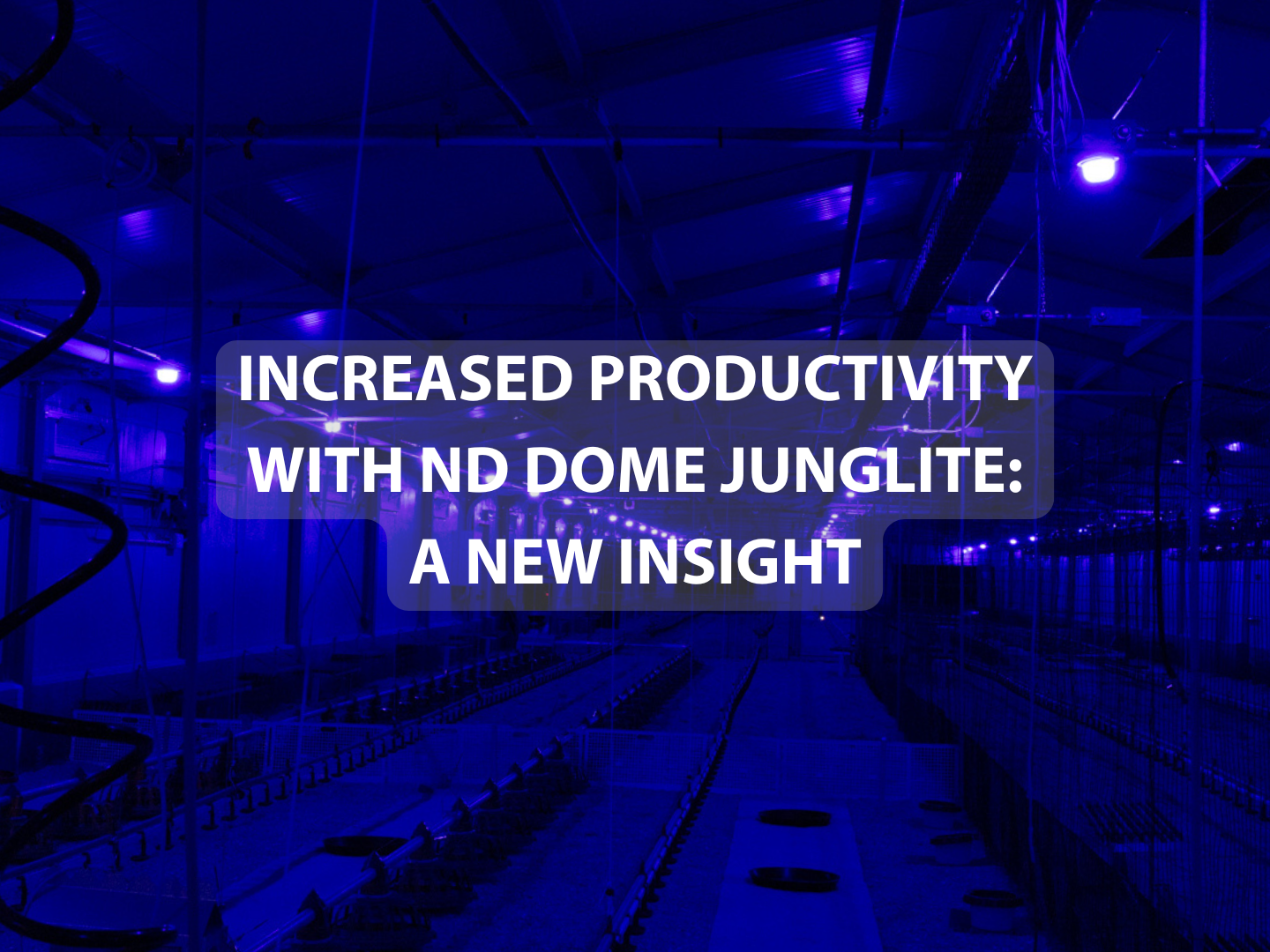 Increased Productivity with ND Dome Junglite: A New Insight