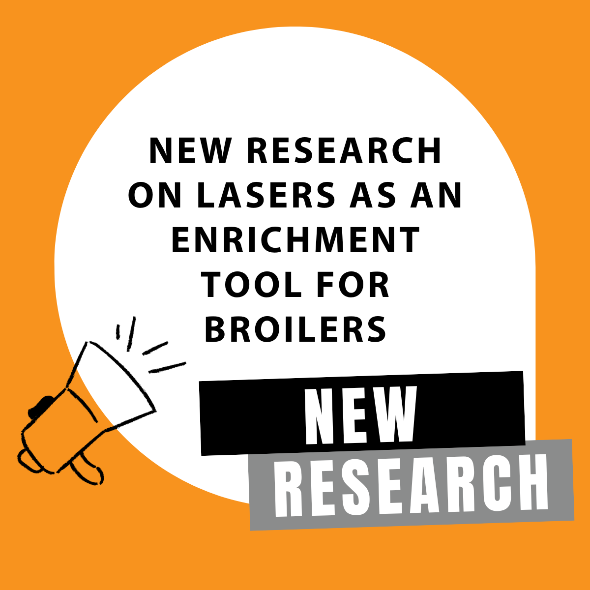 New Research on Lasers as an enrichment tool for broilers