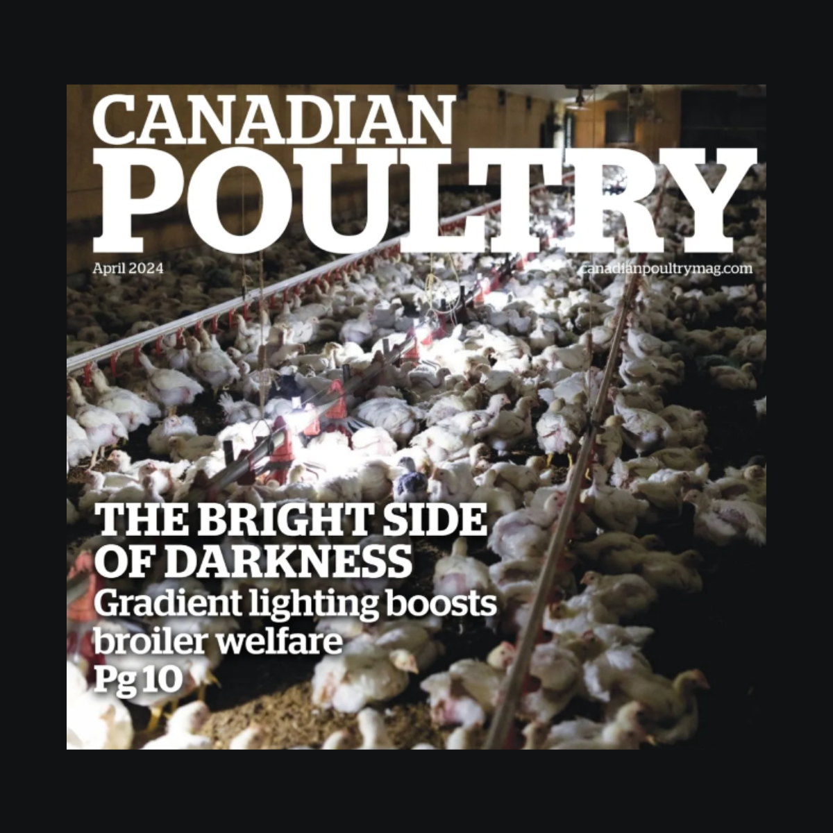 Gradient Lighting Trials with Tyson Foods