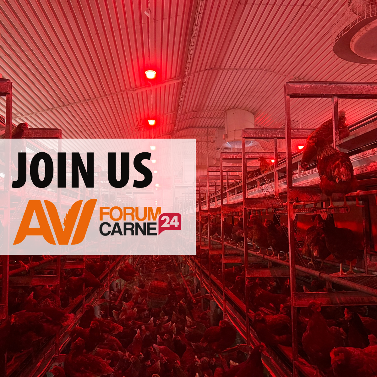 Join us! Avi Forum Carnes 24 in Madrid