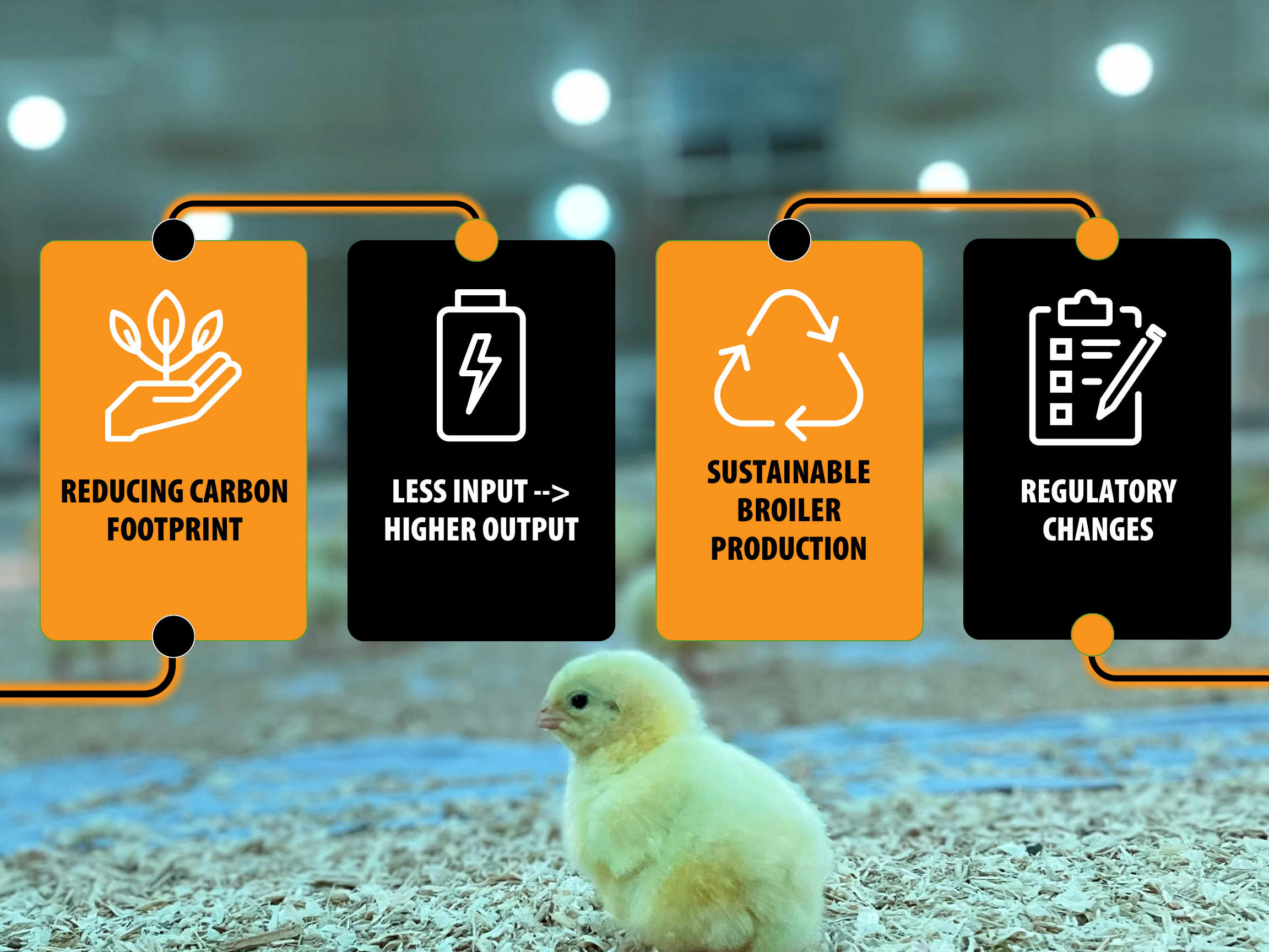 2025 Poultry Industry Trends