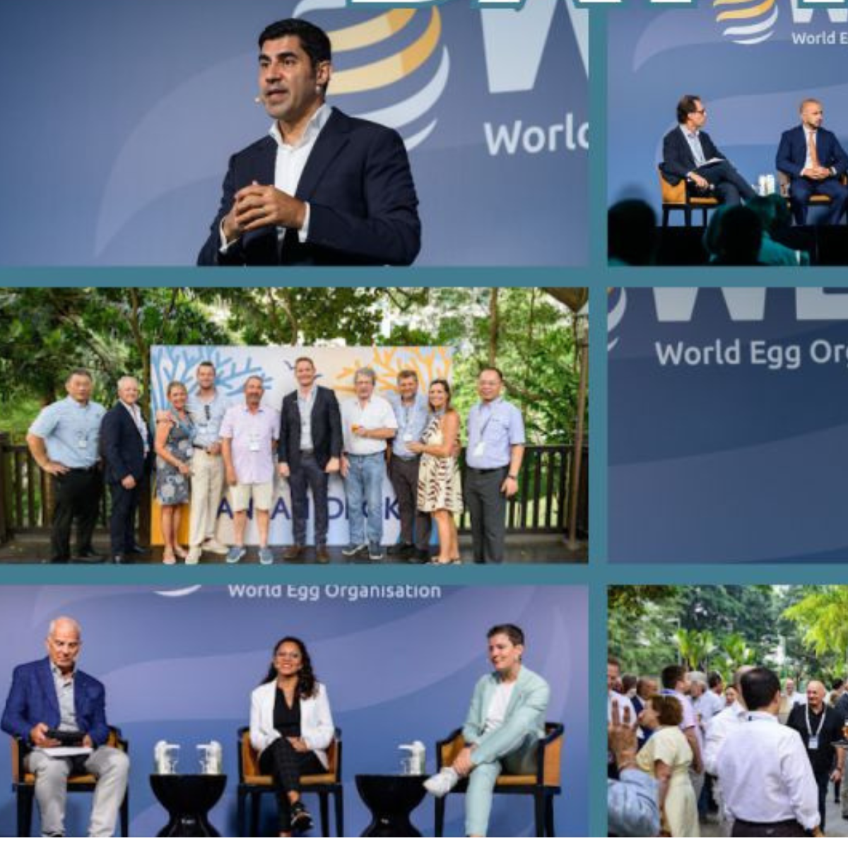 Insights Shared at the World Egg Organisation Global Leadership Conference