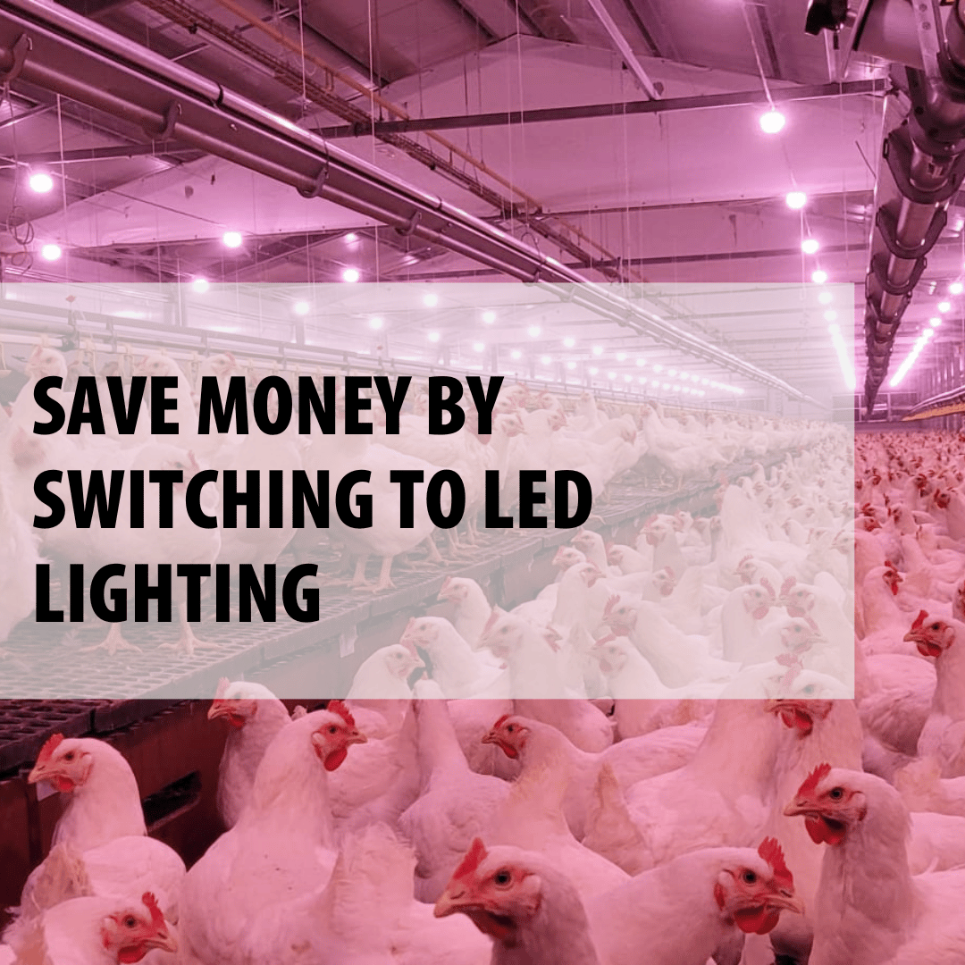 Save on your energy bill with led lighting
