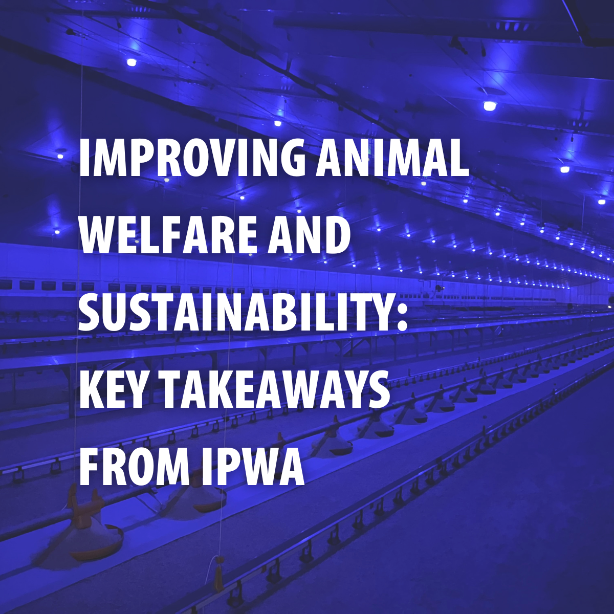 Improving Animal Welfare and Sustainability: Key Takeaways from IPWA