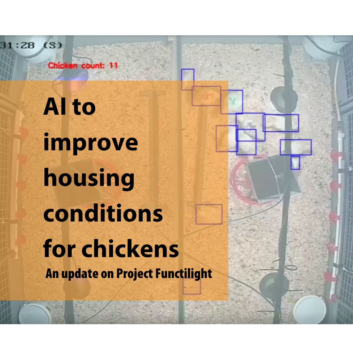 AI to improve housing conditions for chickens: an update on project Functilight