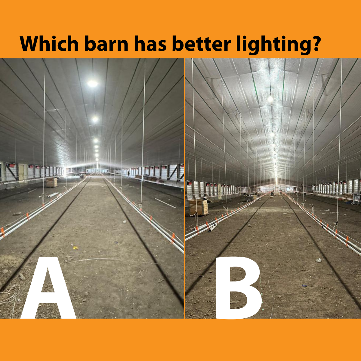 Which barn has better lighting?
