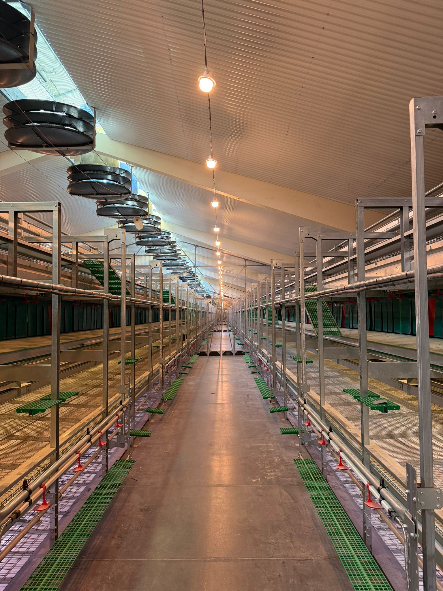 A New Standard in Poultry Lighting: Innovation in Action in Spain