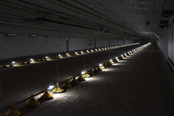 Chick-News features Optient gradient lighting