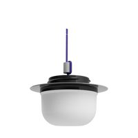 DOME PRO JUNGLITE - DOME 1250/WG30 230V VWB — Iso