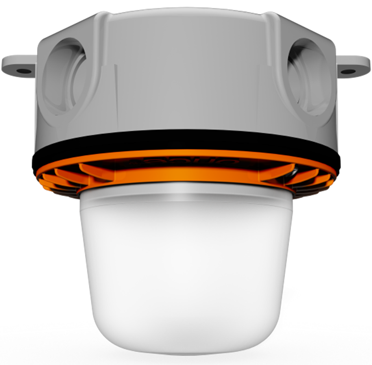 Junction-Box Mounted Pullet Light (JLP)