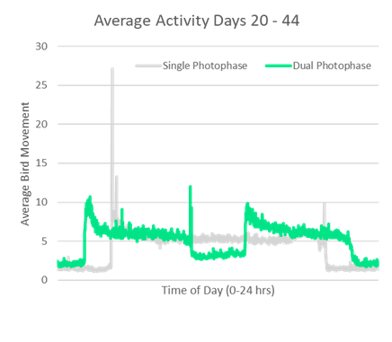 Average Activity Analysis-3