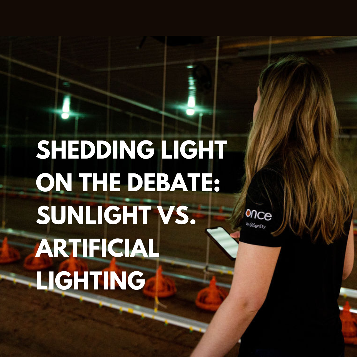 Shedding Light On The Debate: Sunlight Vs. Artificial Lighting For 